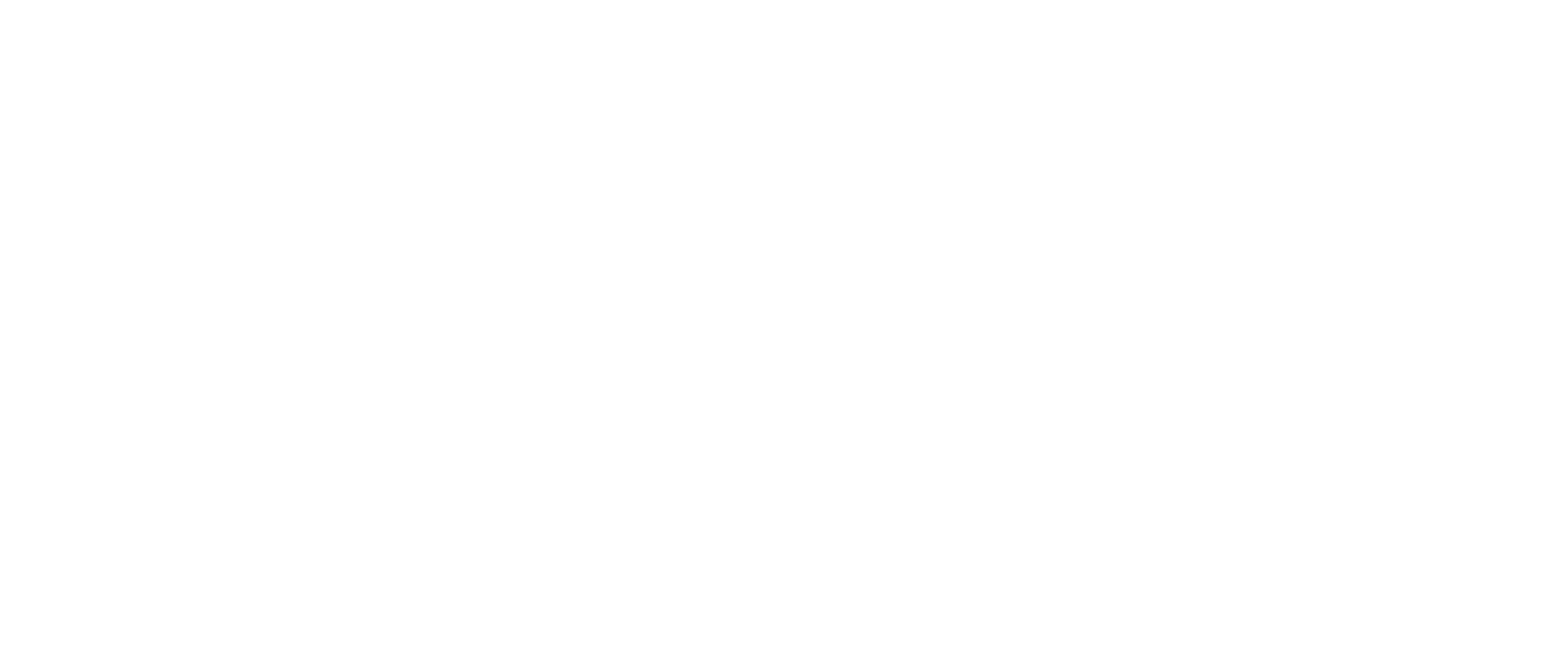 Nuevion Logo